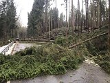 Nach Orkan Friederike - Uslarer Strasse (5)